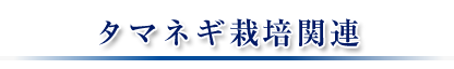 タマネギ栽培関連